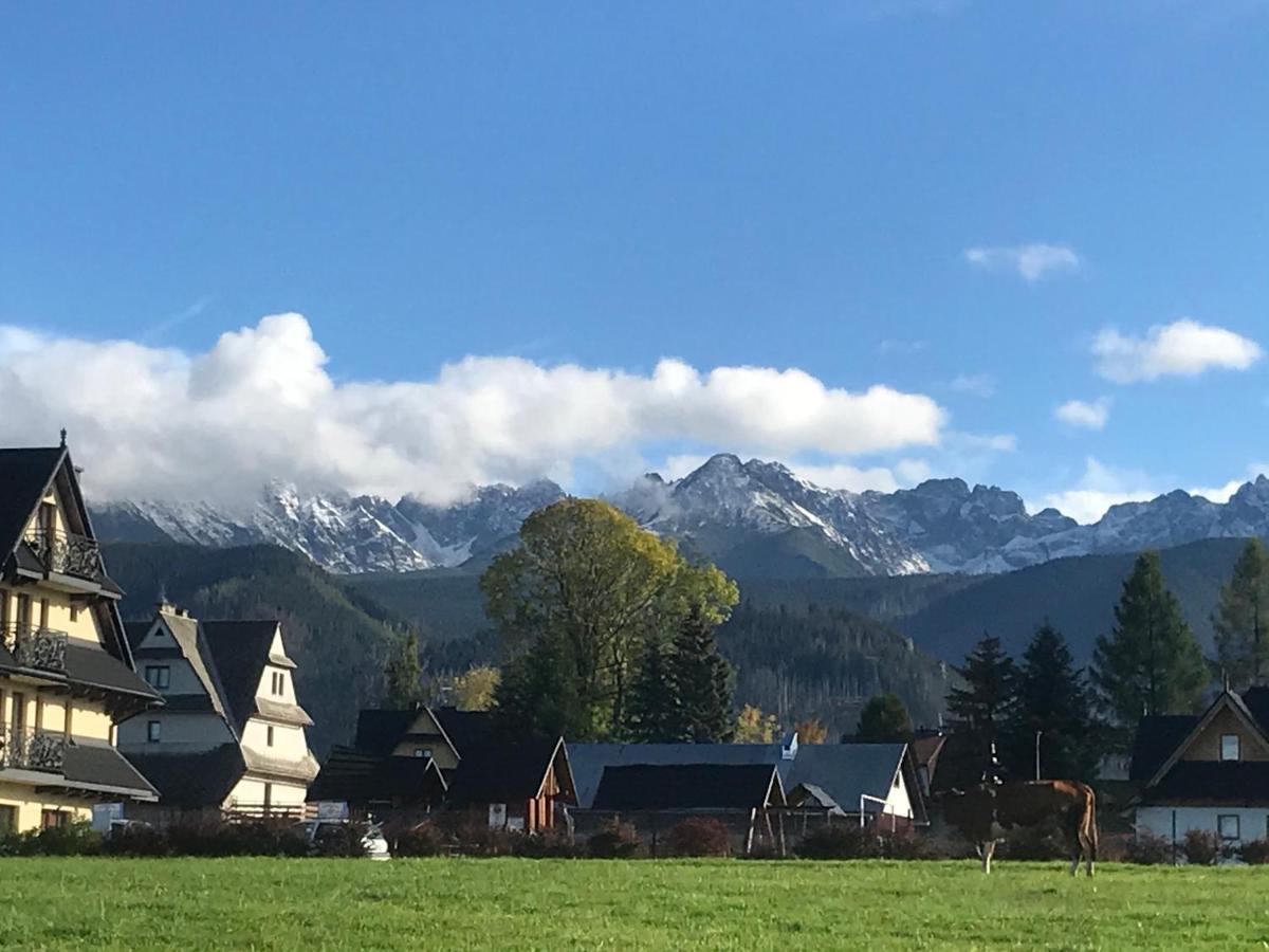 Camping Zakopane Willa Skoczek Oferta Nie Dotyczy Noclegu W Pokoju ,W Namiocie Reczniki Woda Mineralna , Koldra Poduszki Lub Spiwory מראה חיצוני תמונה
