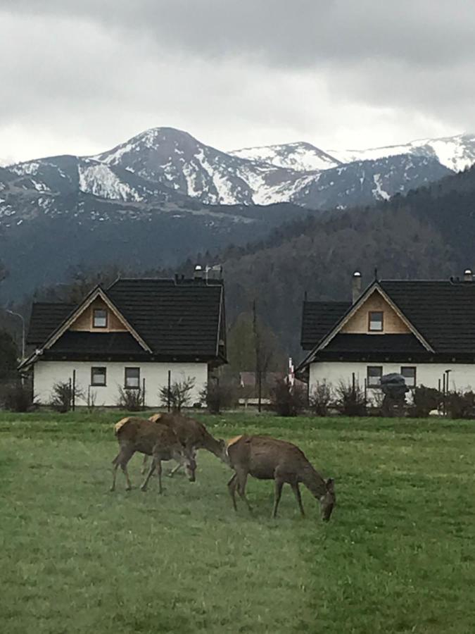 Camping Zakopane Willa Skoczek Oferta Nie Dotyczy Noclegu W Pokoju ,W Namiocie Reczniki Woda Mineralna , Koldra Poduszki Lub Spiwory מראה חיצוני תמונה