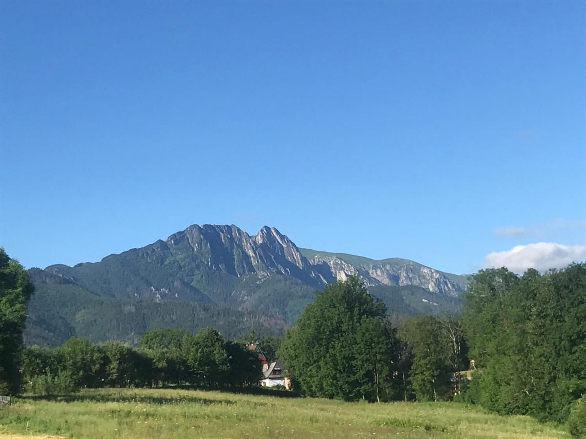 Camping Zakopane Willa Skoczek Oferta Nie Dotyczy Noclegu W Pokoju ,W Namiocie Reczniki Woda Mineralna , Koldra Poduszki Lub Spiwory מראה חיצוני תמונה