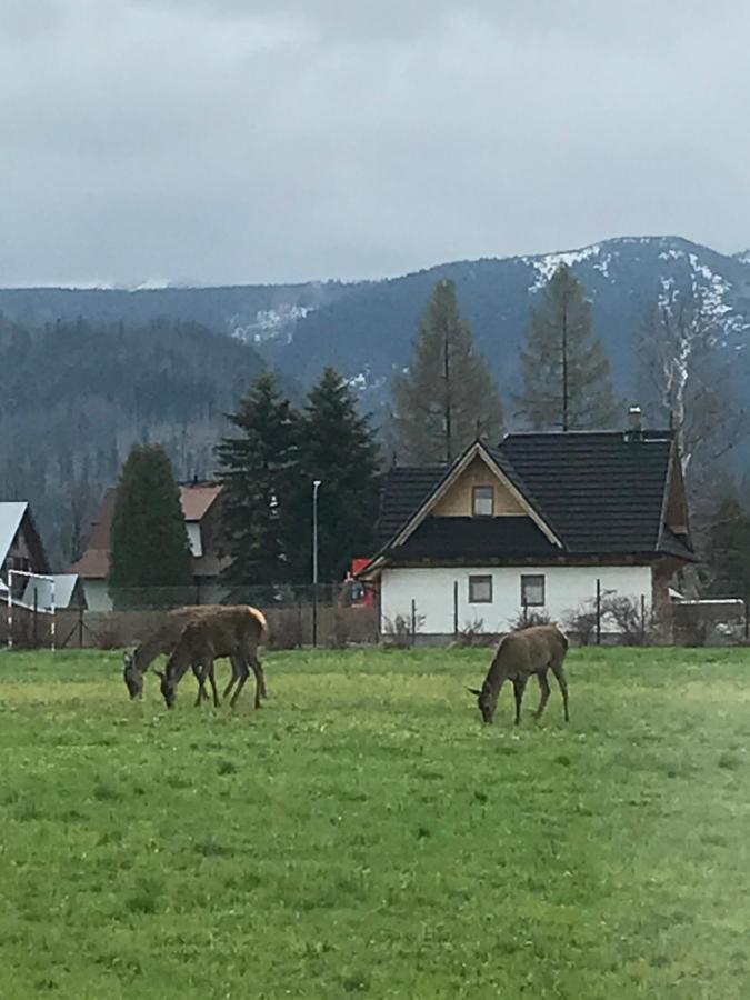 Camping Zakopane Willa Skoczek Oferta Nie Dotyczy Noclegu W Pokoju ,W Namiocie Reczniki Woda Mineralna , Koldra Poduszki Lub Spiwory מראה חיצוני תמונה