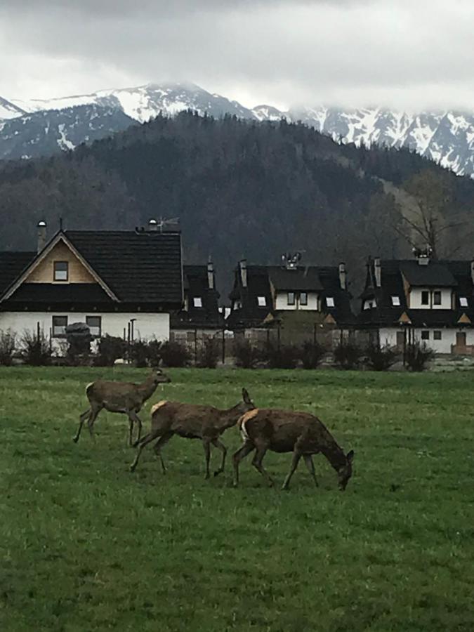 Camping Zakopane Willa Skoczek Oferta Nie Dotyczy Noclegu W Pokoju ,W Namiocie Reczniki Woda Mineralna , Koldra Poduszki Lub Spiwory מראה חיצוני תמונה